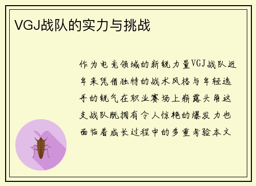 VGJ战队的实力与挑战
